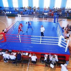 Кропивницькі юніори успішно виступили на чемпіонаті України з боксу