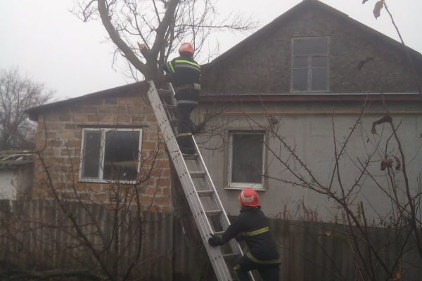 У смт Новгородка рятувальники спиляли аварійне дерево